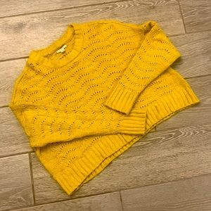 AE Crop Sweater